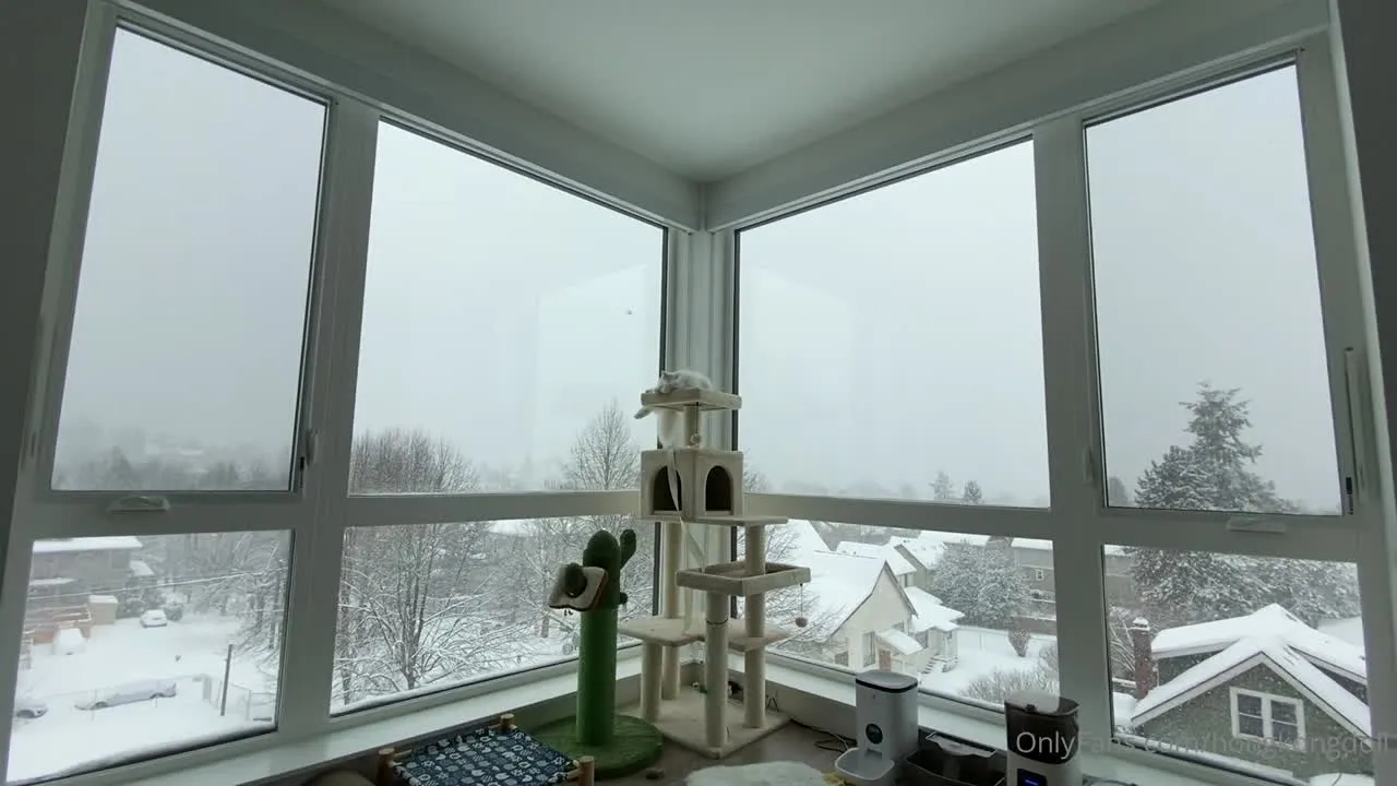 HongKongDoll NO.011 - Vídeos Curtos Encantadores